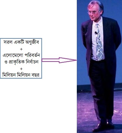 mirakkel1